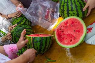 临沂吃瓜视频,揭秘当地特色美食与民间风情