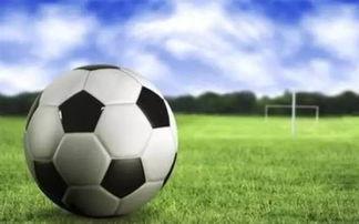 足球导播吃瓜视频下载安装