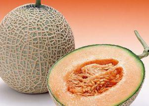 猴子可以吃哈密瓜吗视频,趣味互动瞬间捕捉