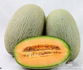 橙子可以配哈密瓜吃吗视频,探索橙子与哈密瓜的完美组合