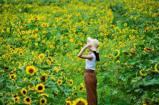 看花和吃瓜故事视频播放