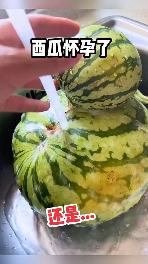 吃瓜搞笑语音播放视频