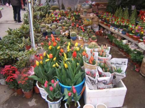 河北花店老板吃瓜视频,吃瓜视频引发网友热议