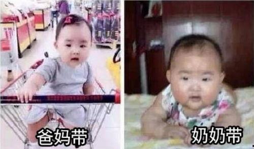 奶奶和小孙吃瓜搞笑视频,欢乐吃瓜笑翻天