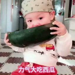 小朋友吃小瓜视频大全,小朋友欢乐吃小瓜视频集锦