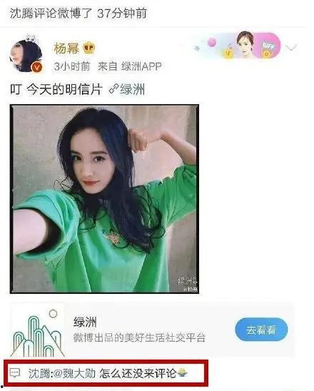 吃瓜爆料小能手视频,视频背后的精彩故事