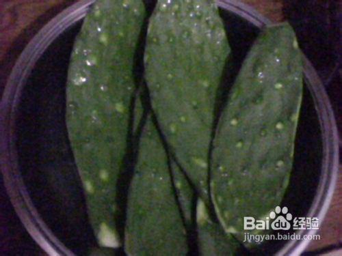 仙人掌直播间现场吃瓜视频,揭秘仙人掌直播间的神秘瓜事