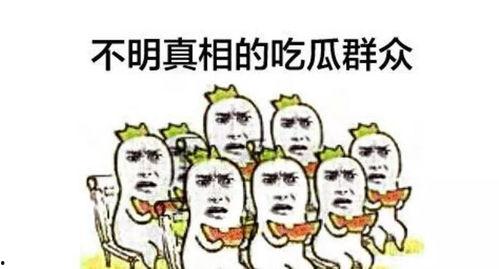 吵架吃瓜群众围观视频大全,吵架现场吃瓜群众视频大盘点
