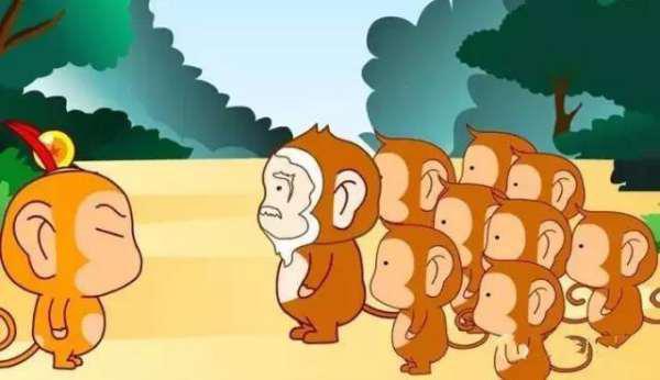 猴王吃瓜配音视频播放,趣味横生的视听盛宴