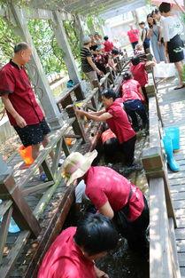 员工摸鱼吃瓜视频,员工吃瓜视频引发热议