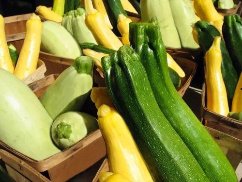 瓜太多了吃不过来视频,如何应对“吃瓜”挑战