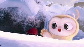 吃瓜现场比赛视频下载,吃瓜现场比赛视频下载盘点