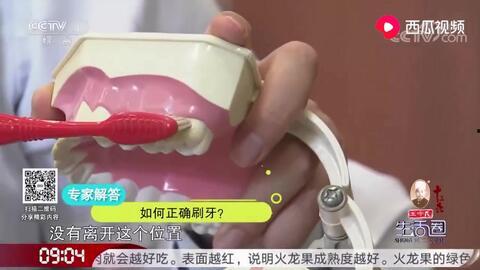 吃瓜怎么刷牙教程视频,趣味教程轻松掌握口腔卫生