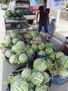 临安吃瓜事件视频最新版,最新视频揭露惊人真相