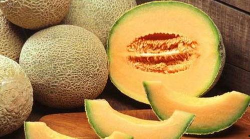 傻爷爷吃哈密瓜素材视频,甜蜜回忆与欢乐时光