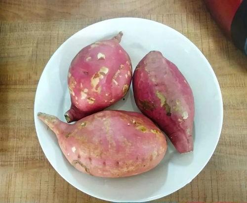 免费吃瓜地瓜视频大全在线观看