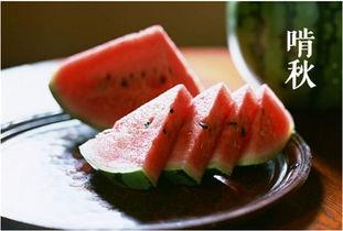 立秋吃烧瓜好吗视频大全,传统习俗与现代口味的完美融合