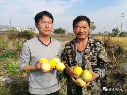 吃瓜群众在行动视频,揭秘网络热点背后的真相