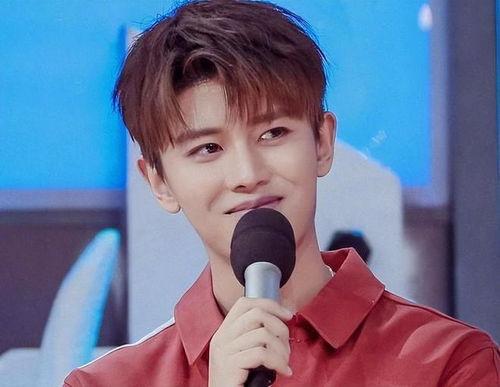 追星吃瓜任嘉伦完整视频,揭秘明星的明星梦之旅