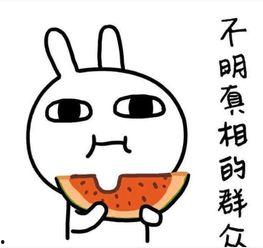 二子吃瓜搞笑视频文案,欢乐无限，搞笑视频文案大盘点