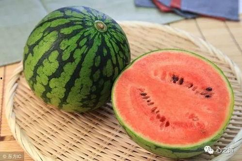 砍瓜也能放老了吃吗视频,揭秘如何让砍瓜放久不坏