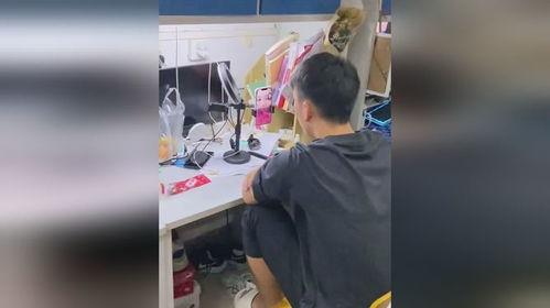 宿舍吃瓜小视频,揭秘校园生活趣味瞬间