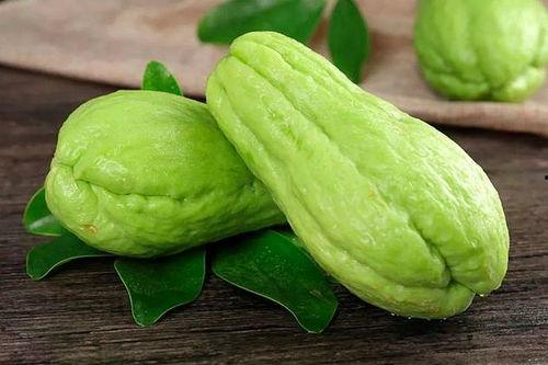 罗定人吃瓜菜视频