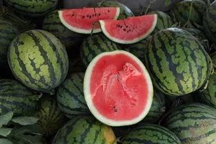 一块钱一个吃瓜视频,尽享短视频盛宴